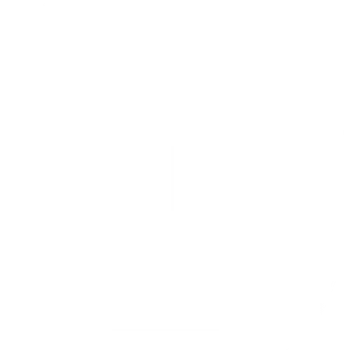 DigitalLatvia